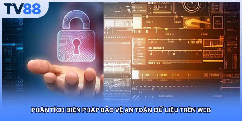 Phân tích biện pháp bảo vệ an toàn dữ liệu trên web